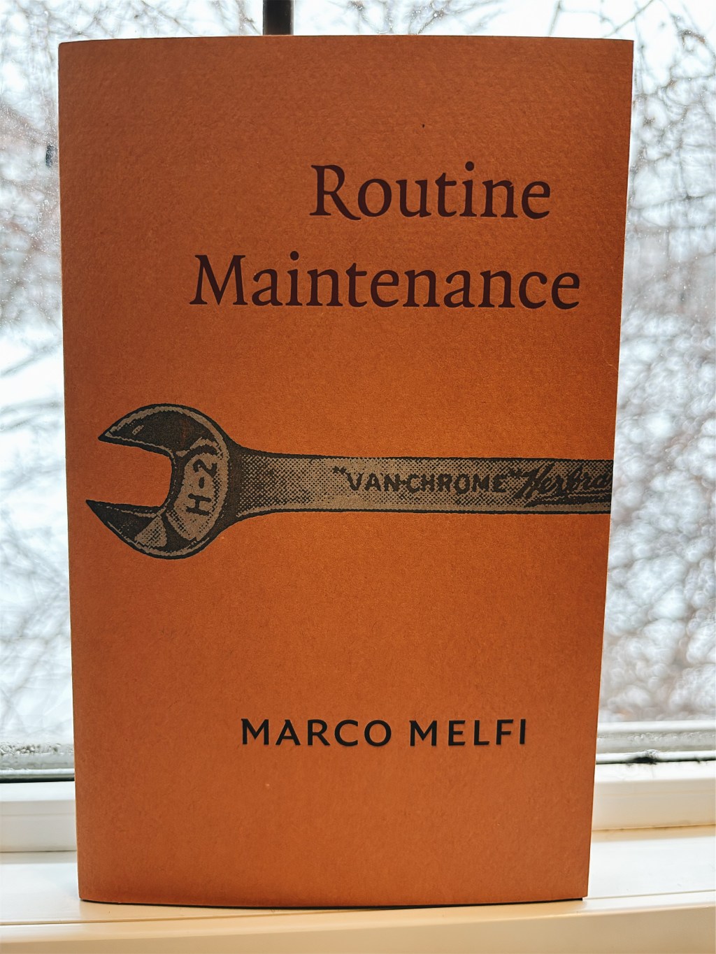 Slow Reading Poetry Project 2026, Week ONE: “Routine Maintenance” by Marco Melfi