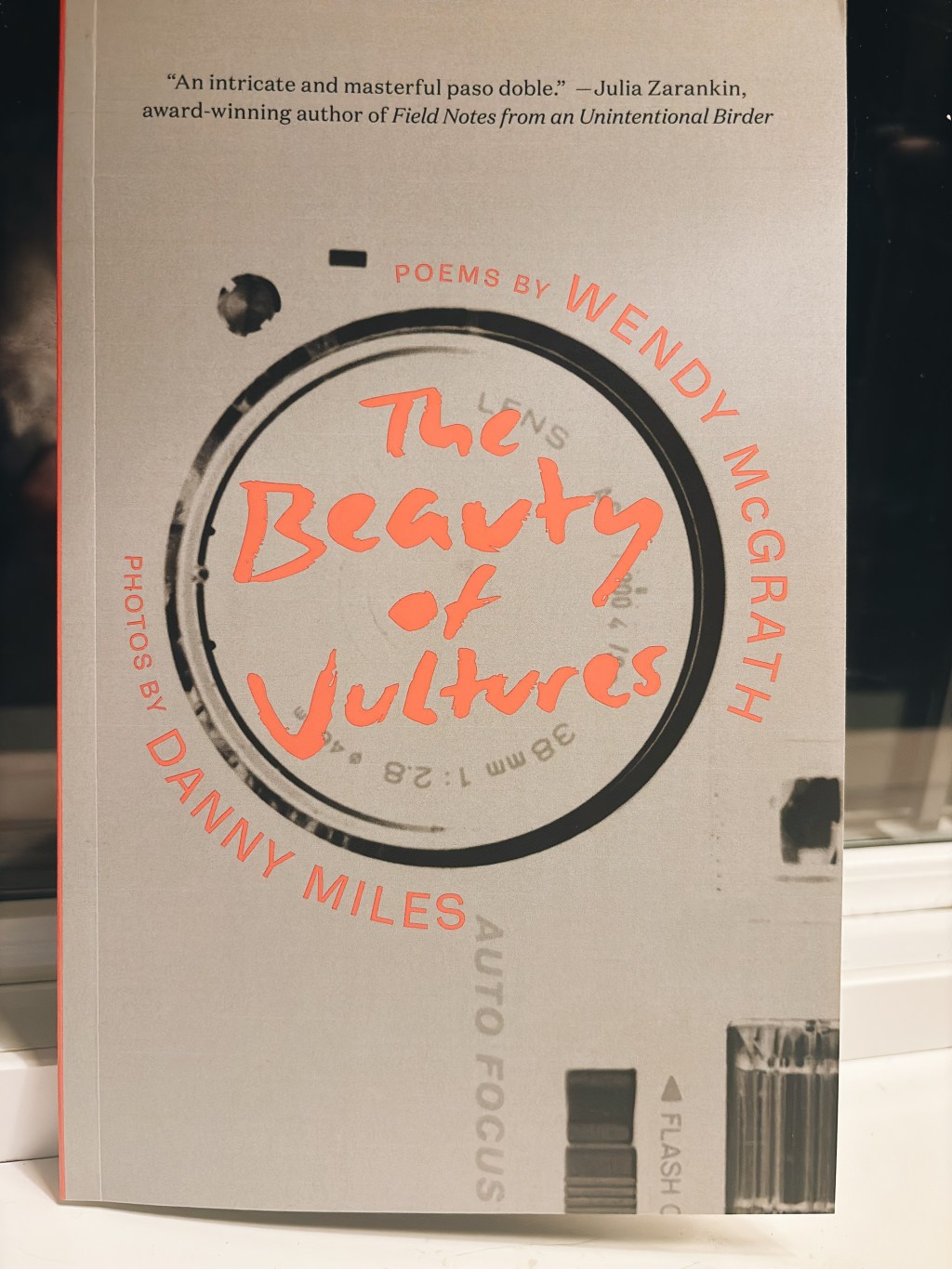 Slow Reading Poetry Project 2026, Week TWO: “The Beauty of Vultures” by Wendy McGrath