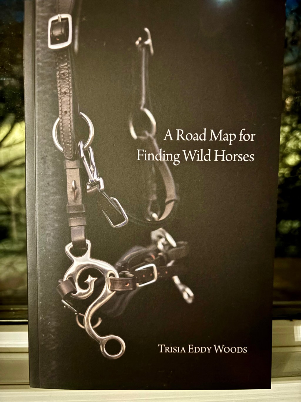 Slow Reading Poetry Project 2026, Week FIVE: “A Road Map For Finding Wild Horses” Trisia Eddy&nbsp;Woods