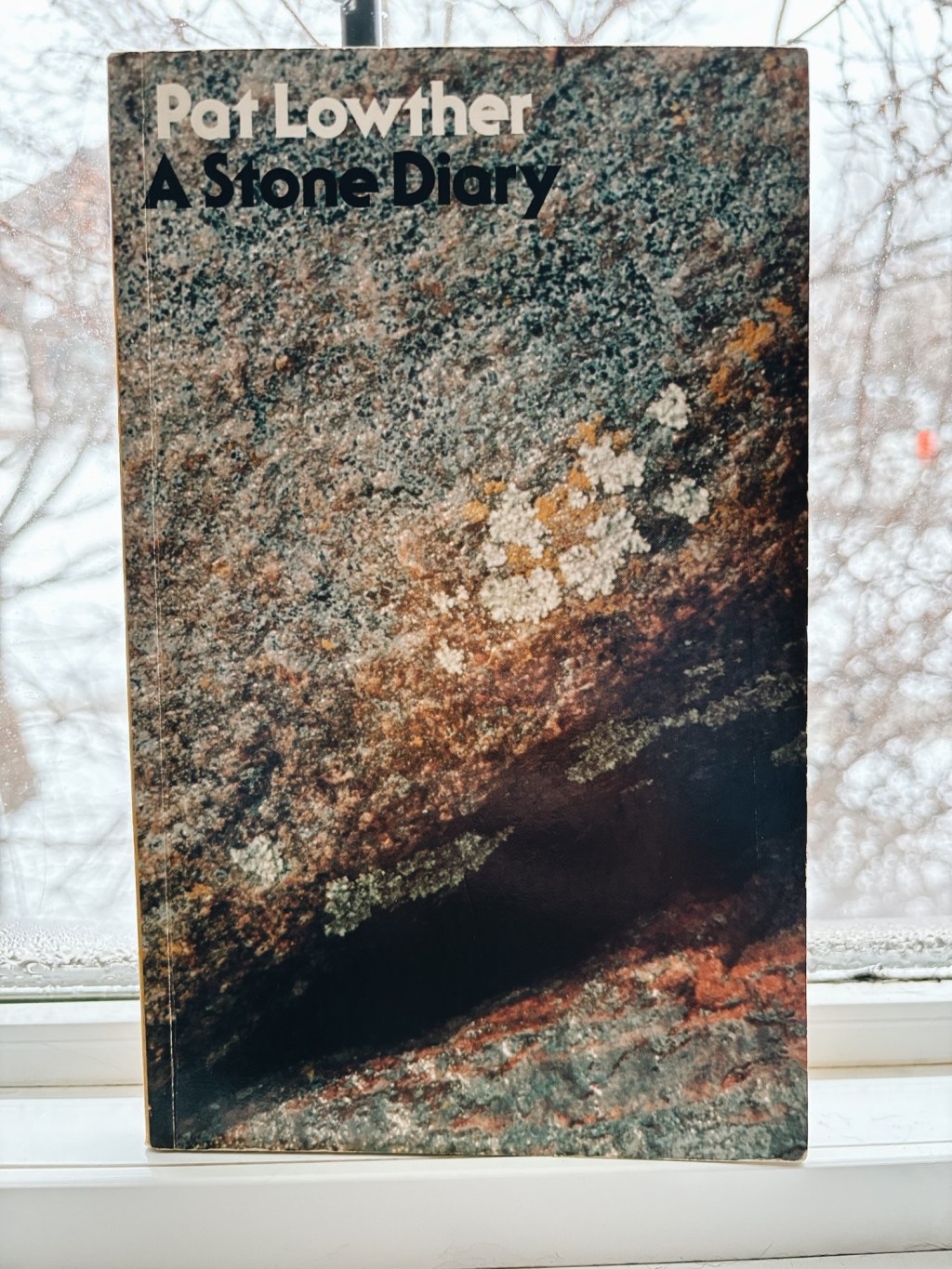 Slow Reading Poetry Project 2026-03-02