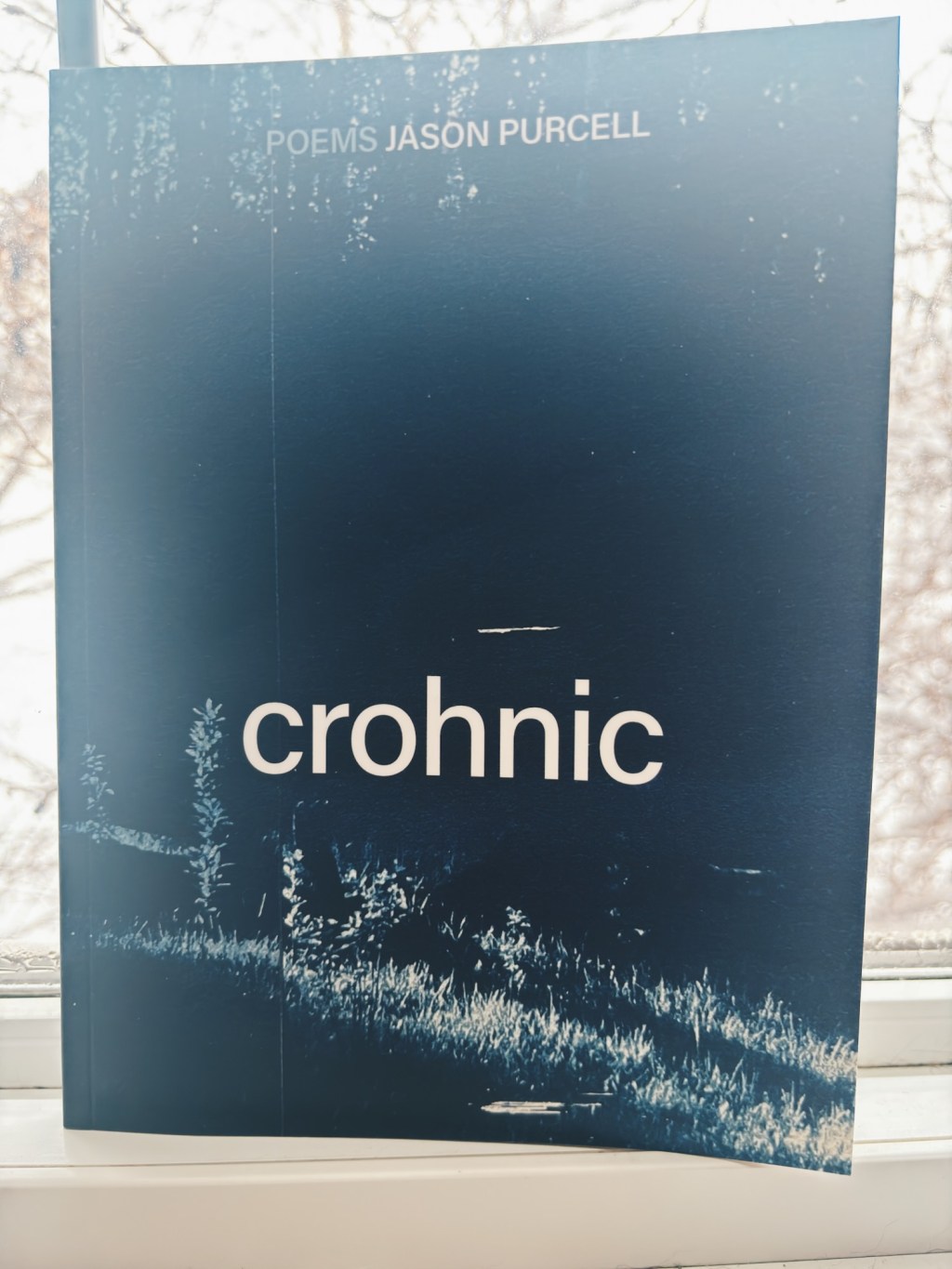 Slow Reading Poetry Project&nbsp;2026-03-30