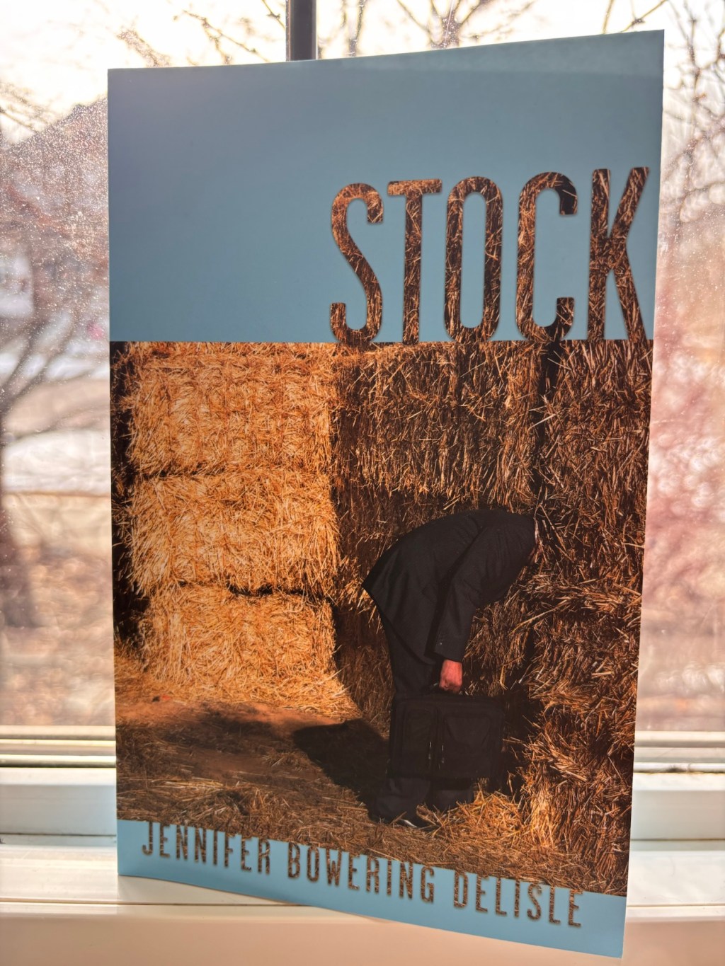 Slow Reading Poetry Project&nbsp;2026-03-23