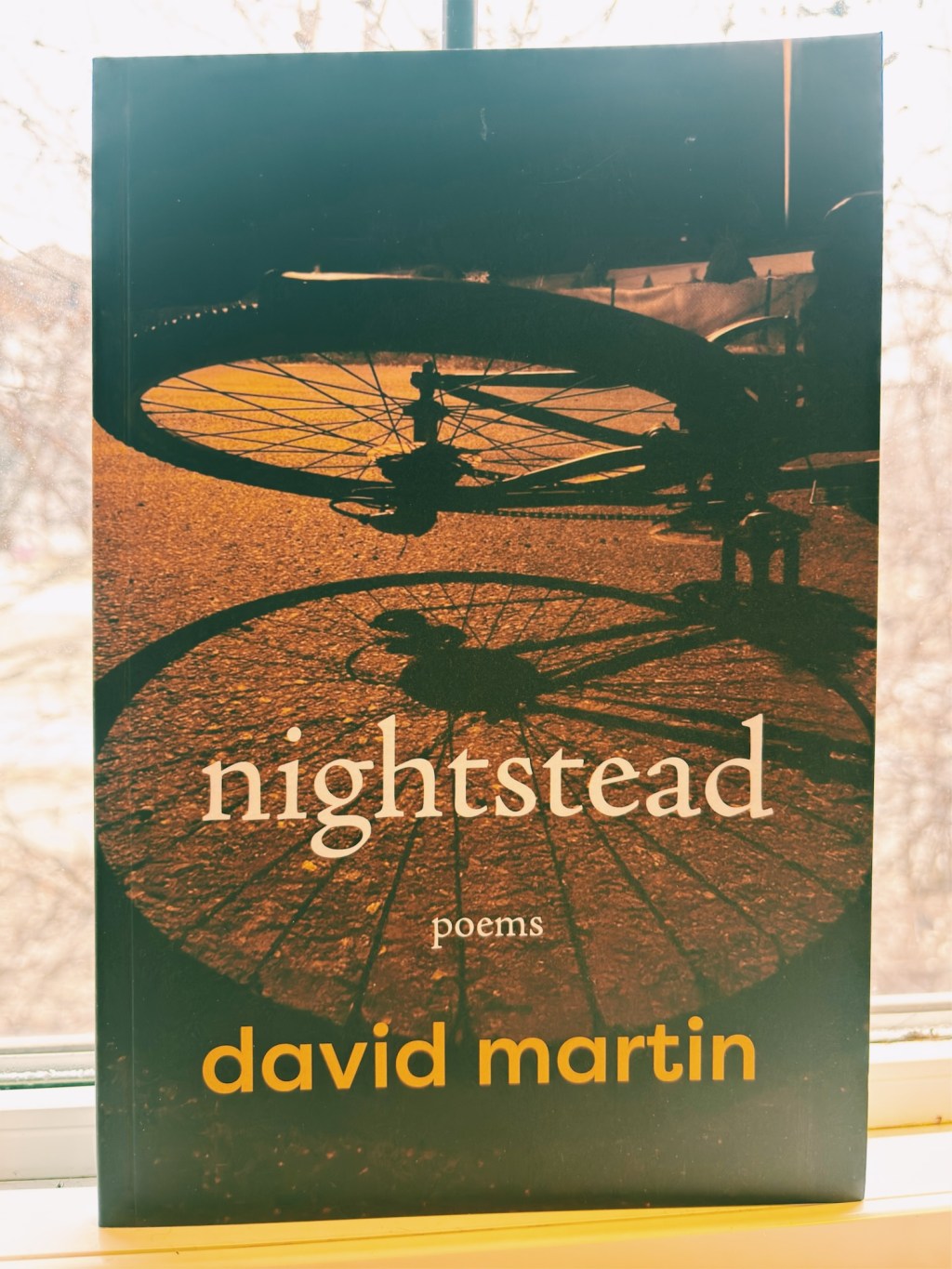 Slow Reading Poetry Project&nbsp;2026-04-08