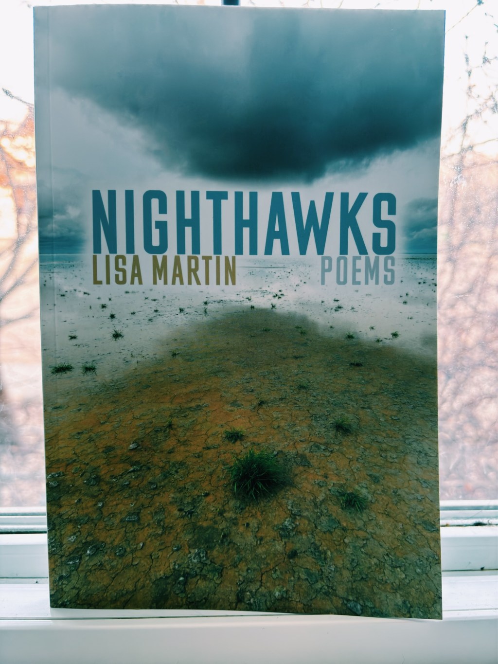 Slow Reading Poetry Project&nbsp;2026-04-17