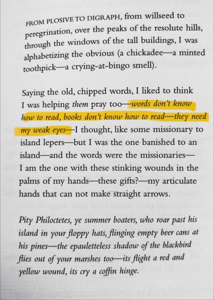 words don’t know how / to read books don’t know how to read—they need / my weak eyes