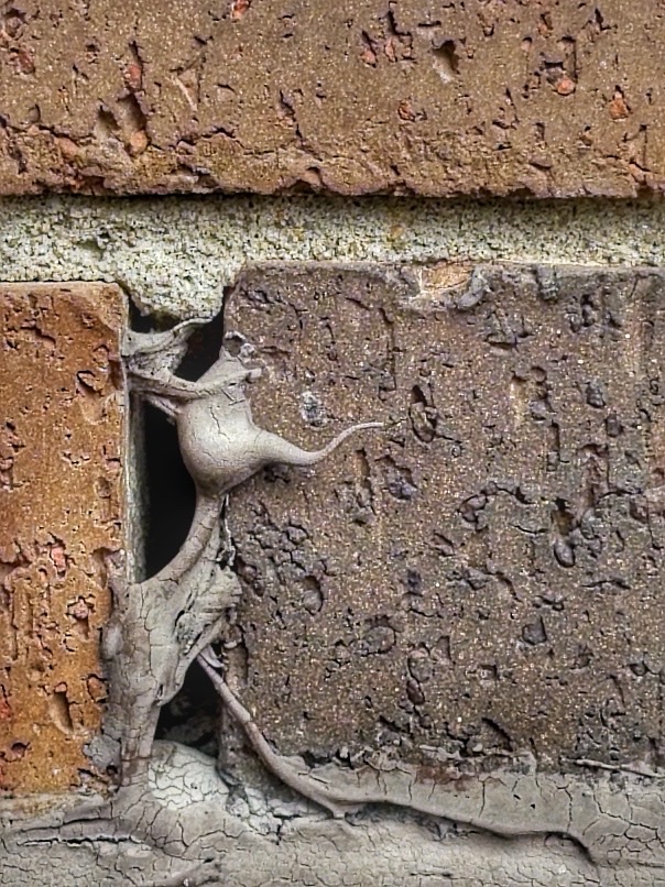 Visual Interlude 20260604 – Bolt.&nbsp;Hole.